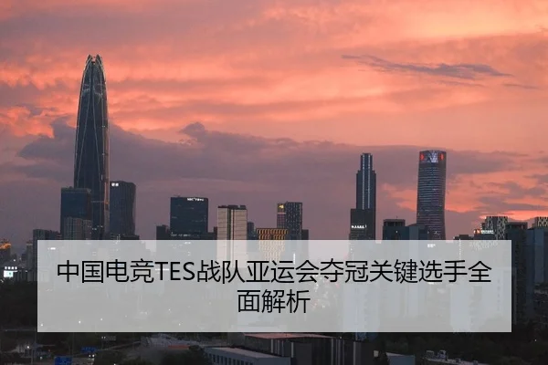 中国电竞TES战队亚运会夺冠关键选手全面解析